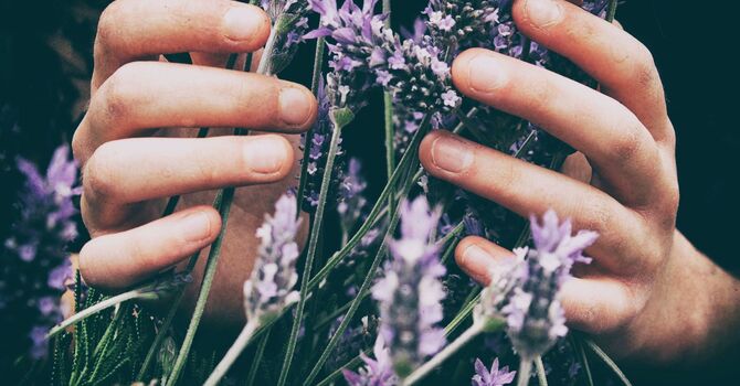 Detox Programs Coaching and Consultations