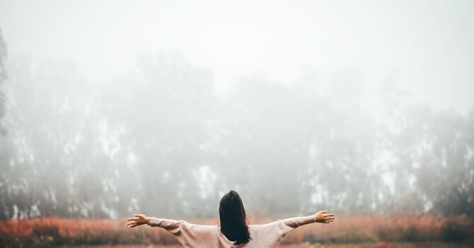 Detox Programs Coaching and Consultations